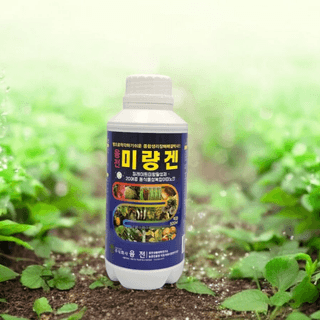 농업마켓365님의 작성글 사진