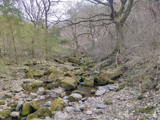 이현상님의 자유주제 · 자유게시판 작성글 사진