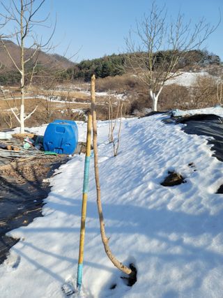 남효제님의 자유주제 · 자유게시판 작성글 사진