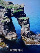 팜모닝 자유주제·자유게시판 게시글 이미지