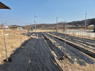 전홍열님의 자유주제 · 자유게시판 작성글 사진