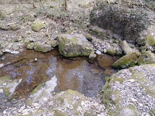이현상님의 자유주제 · 자유게시판 작성글 사진