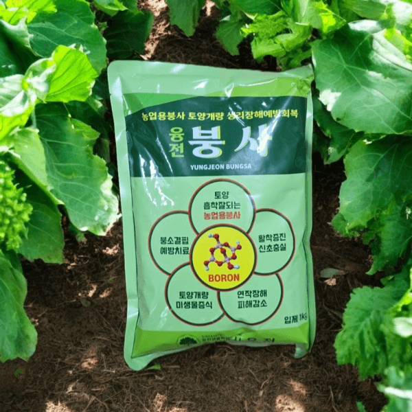 장터 상품 [농업마켓365 융전 붕사 입제 1kg 배추 무우 붕소 생리장해 갓 양배추 감자 고구마 당근 마늘 바람들이 미량요소] 썸네일