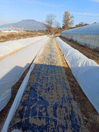 해아래님의 자유주제 · 자유게시판 작성글 사진