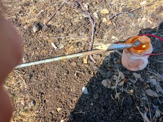 알 수 없음님의 자유주제 · 자유게시판 작성글 사진