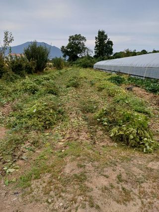 해아래님의 자유주제 · 자유게시판 작성글 사진