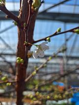 팜모닝 자유주제·자유게시판 게시글 이미지