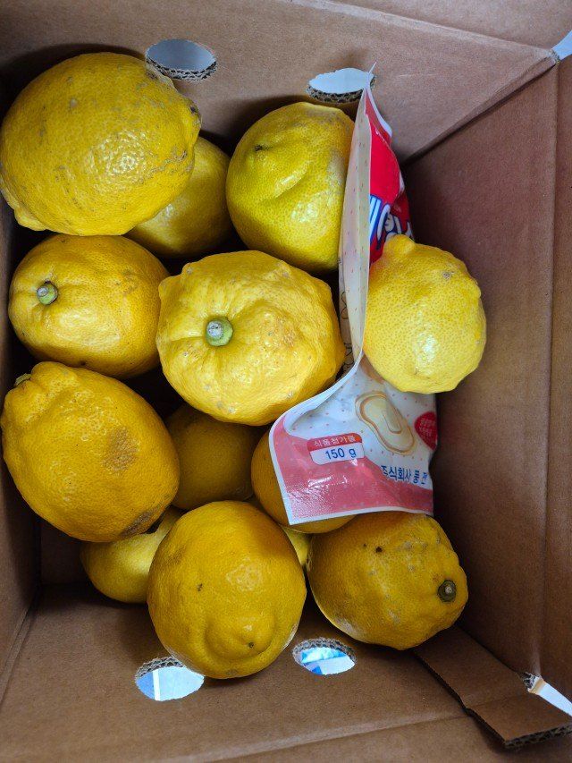 제주빅팜님의 장터 판매 상품 [레몬 상품] 첨부 사진