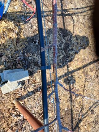 알 수 없음님의 자유주제 · 자유게시판 작성글 사진