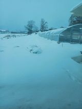 팜모닝 자유주제·자유게시판 게시글 이미지