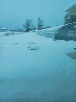 해아래님의 자유주제 · 자유게시판 작성글 사진