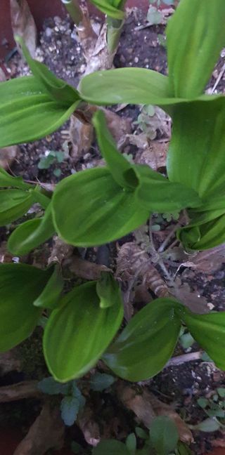 한밭농원님의 자유주제 · 자유게시판 작성글 사진