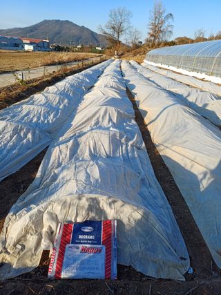 해아래님의 자유주제 · 자유게시판 작성글 사진