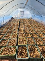 팜모닝 · 게시글 이미지