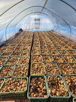 최승일님의 작성글 사진