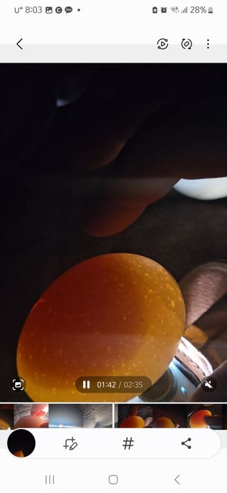 아리엘님의 자유주제 · 자유게시판 작성글 사진