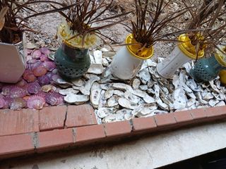 구마수 뻐어나갈 수님의 자유주제 · 자유게시판 작성글 사진