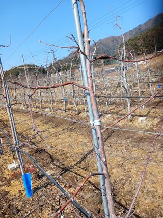 알 수 없음님의 자유주제 · 자유게시판 작성글 사진