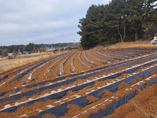 박태현님의 자유주제 · 자유게시판 작성글 사진