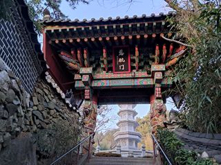 마평 농원님의 자유주제 · 자유게시판 작성글 사진