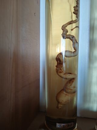 맞춤포도 드론방제님의 자유주제 · 자유게시판 작성글 사진