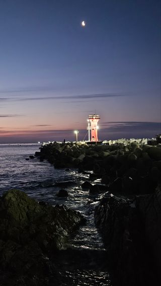 마평 농원님의 자유주제 · 자유게시판 작성글 사진