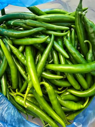 나주 박정화님의 자유주제 · 자유게시판 작성글 사진