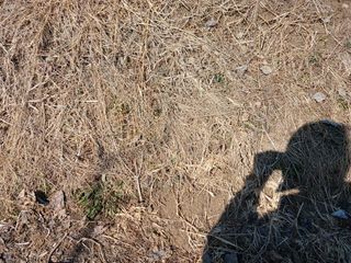 알 수 없음님의 자유주제 · 자유게시판 작성글 사진