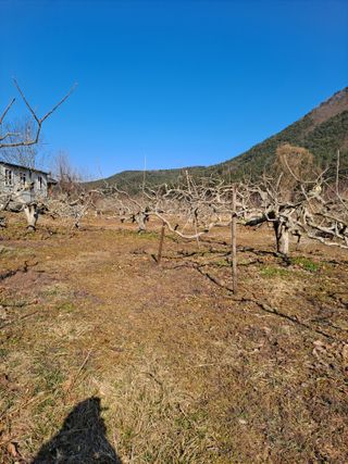 농촌사랑님의 자유주제 · 자유게시판 작성글 사진