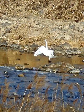 김상진님의 자유주제 · 자유게시판 작성글 사진