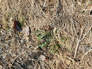 알 수 없음님의 자유주제 · 자유게시판 작성글 사진