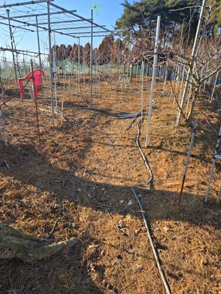 자연인님의 자유주제 · 자유게시판 작성글 사진