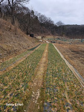 최경림님의 자유주제 · 자유게시판 작성글 사진