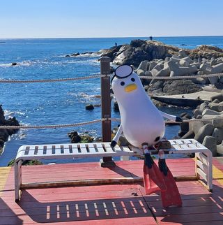 마평 농원님의 자유주제 · 자유게시판 작성글 사진
