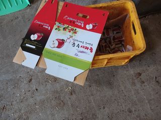 알 수 없음님의 자유주제 · 자유게시판 작성글 사진