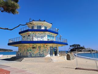 마평 농원님의 자유주제 · 자유게시판 작성글 사진