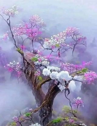 보은 김영순님의 자유주제 · 자유게시판 작성글 사진