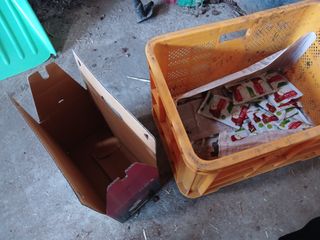 알 수 없음님의 자유주제 · 자유게시판 작성글 사진