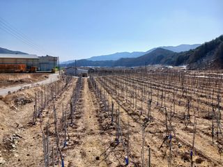 알 수 없음님의 자유주제 · 자유게시판 작성글 사진