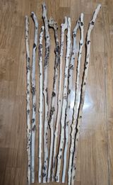 팜모닝 자유주제·자유게시판 게시글 이미지