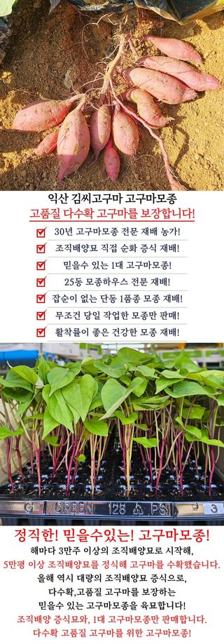 김동수님의 자유주제 · 자유게시판 작성글 사진