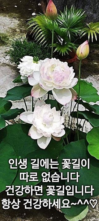 MSG0074님의 자유주제 · 자유게시판 작성글 사진