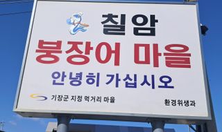 마평 농원님의 자유주제 · 자유게시판 작성글 사진