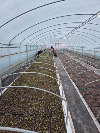 김영진(전남영광)님의 자유주제 · 자유게시판 작성글 사진