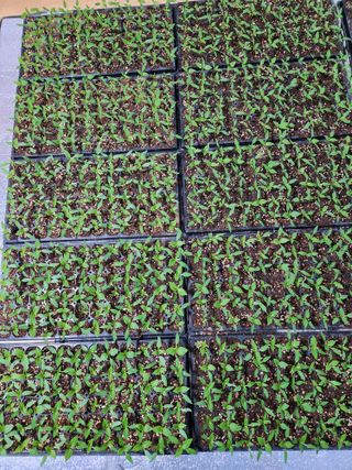 보은 김영순님의 자유주제 · 자유게시판 작성글 사진