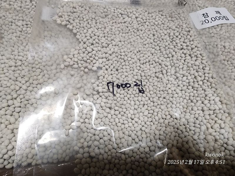 정권옥님의 장터 판매 상품 [참깨수확기랑 외대깨 코팅종자 100000립] 첨부 사진