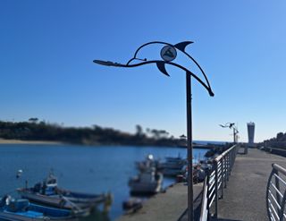 마평 농원님의 자유주제 · 자유게시판 작성글 사진