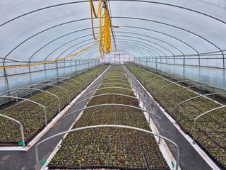 김영진(전남영광)님의 자유주제 · 자유게시판 작성글 사진