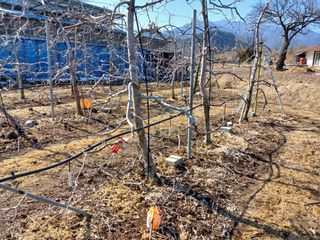 알 수 없음님의 자유주제 · 자유게시판 작성글 사진