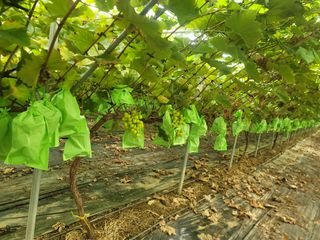 호박15325님의 자유주제 · 자유게시판 작성글 사진